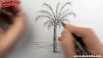 palmtree