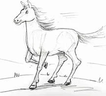 How to draw horses