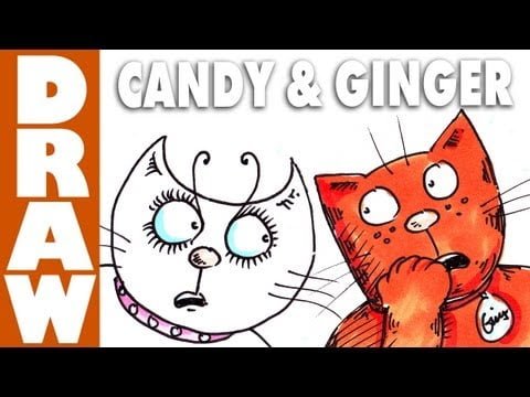 Join My Newsletter and get a free Ginger Ninja eBook