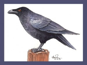 CrowSml