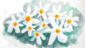 smallwatercolourflowers