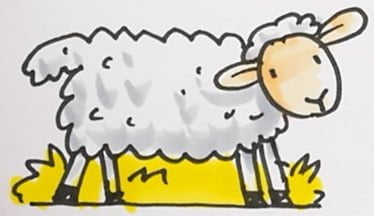 How to draw the sheep for a Nativity Scene
