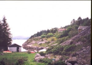 Snekkevik