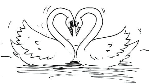 How to draw the swans of love