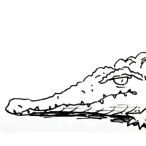 How to draw a Crocodile