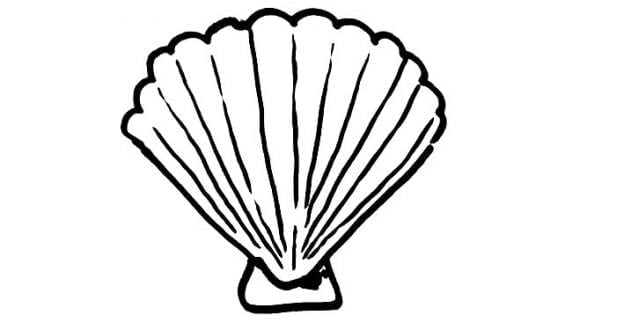 How to draw a shell real easy