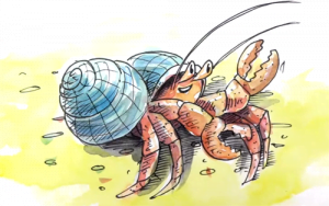 hermitCrab