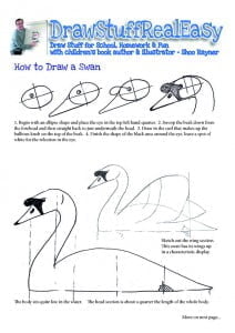 Swan pdf_Page_1