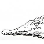 How-to-draw-a-crocodilesmall